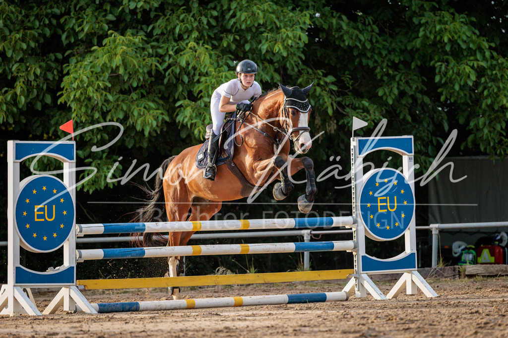20260529-_3LI1836 | Tierfotografie Pferde, Hunde, Katzen, Haustiere.
Turnierfotografie Reitturniere, Reiten, Springreiten, Dressur in Hanau, dem Main-Kinzig-Kreis und dem Rhein-Main- Gebiet um Frankfurt