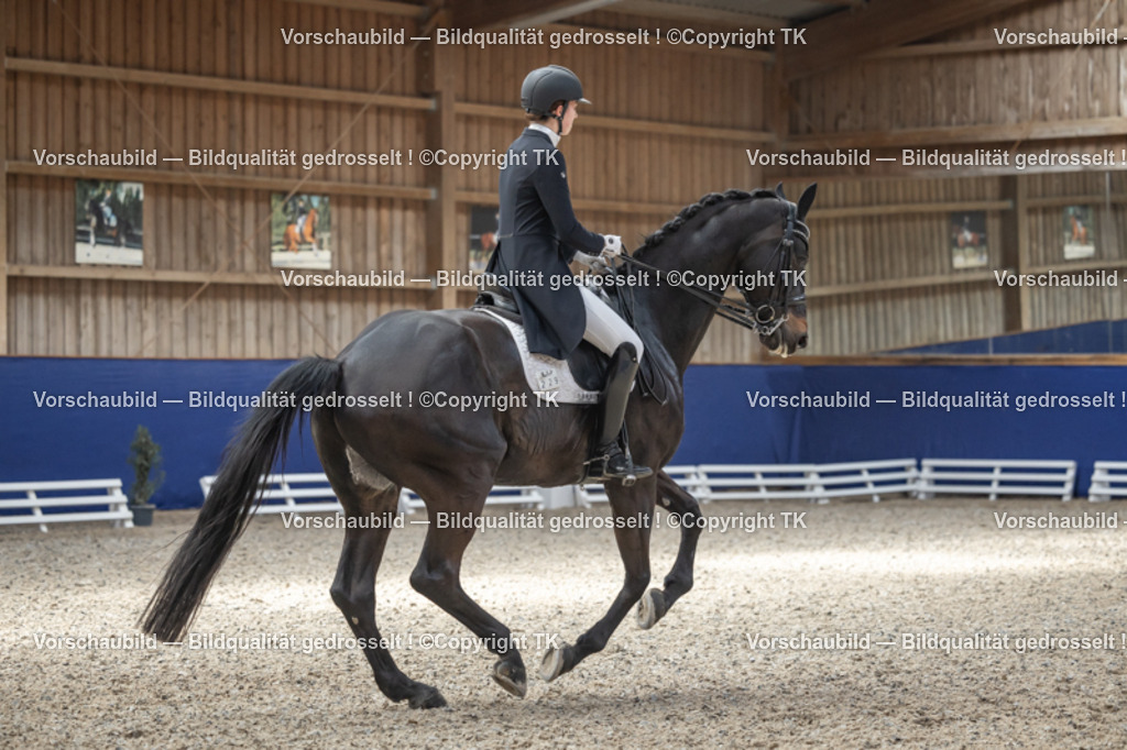 _D5A0591 | Emotionale Pferde- & People-Fotografie rund um Heidelberg, Leimen & Umgebung. Natürliche Fotos von Pferd, Mensch & Familie. Jetzt Termin sichern!