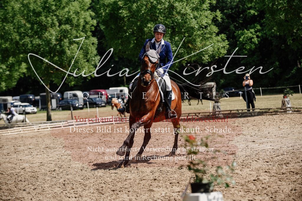 DSC_1231 | Pferde- und Turnierfotografie in Westsachsen. Pferdeportraits, Auftragszeichnungen und intuitive Kunst.