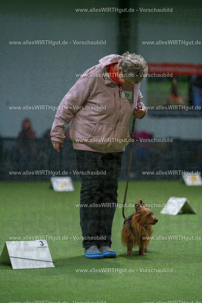 7R500409 | Professionelle Tierfotografie in Mönchengladbach von Daniel Wirth (allesWIRTHgut). Liebevolle & natürliche Bilder von Hunden & Katzen für unvergessliche Erinnerungen.