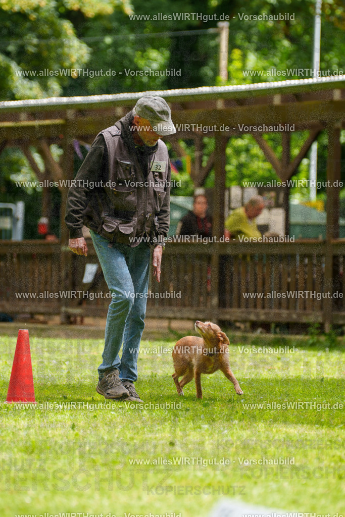 @allesWIRTHgut_Tierfotografie - www.allesWIRTHgut.de - 121719-7R508800 | Professionelle Tierfotografie in Mönchengladbach von Daniel Wirth (allesWIRTHgut). Liebevolle & natürliche Bilder von Hunden & Katzen für unvergessliche Erinnerungen.