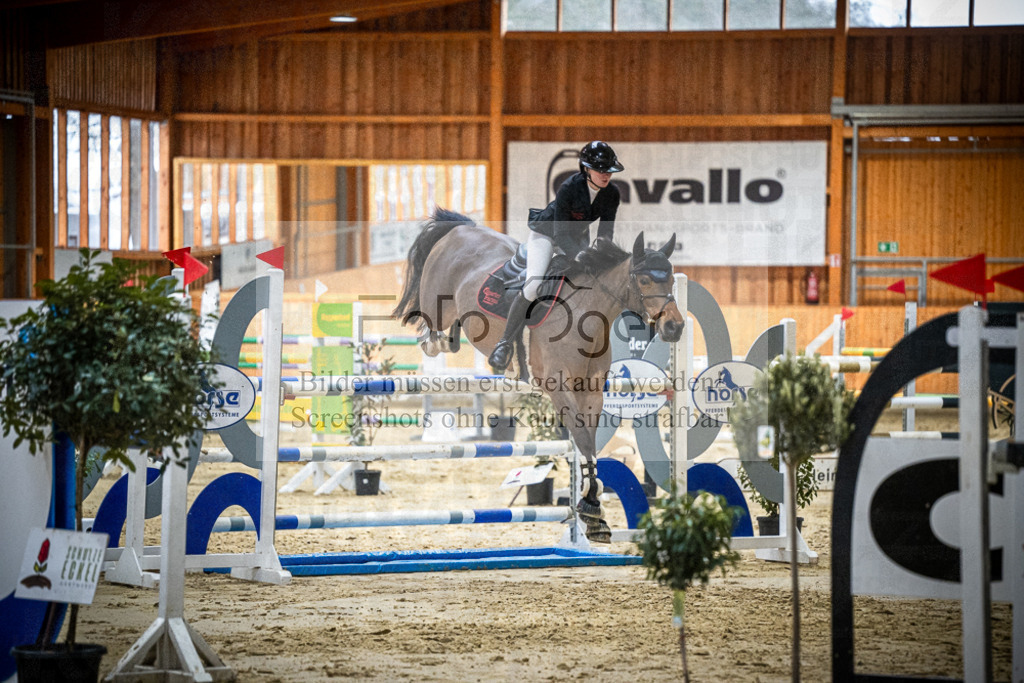 DOS_0721 | Entdecke hochwertige Reitturnierfotos von Foto Oger. Professionell, emotional und authentisch – jetzt Lieblingsmomente im Shop bestellen.Deutschlandweite Turnierfotografie. - Realisiert mit Pictrs.com