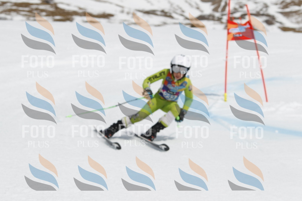 _U3G2561 | holidayphoto