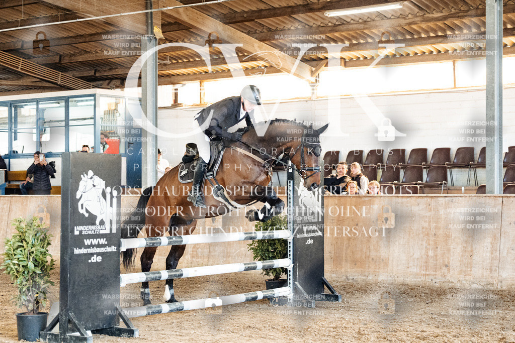 CK905256 | Turnierfotografie Pferdefotografie Trier Rheinland-Pfalz Pferdesport Reitsport Tierfotografie Sportfotografie Pferdevideo Pferdevideografie Equestrianvideography equestrianphotography  - Realized with Pictrs.com