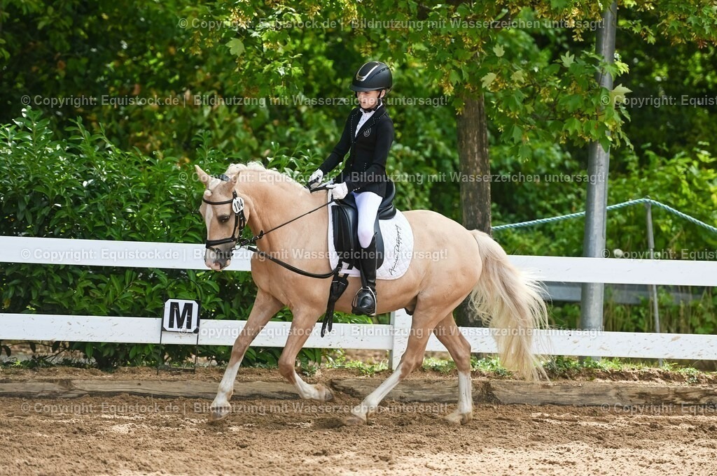 20230716_10-3_Reiter-WB Schritt - Trab - Galopp_0113 | equistock