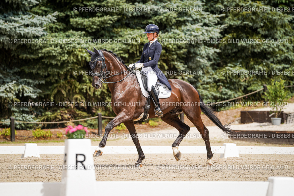 DSC06018 | Pferdegrafie