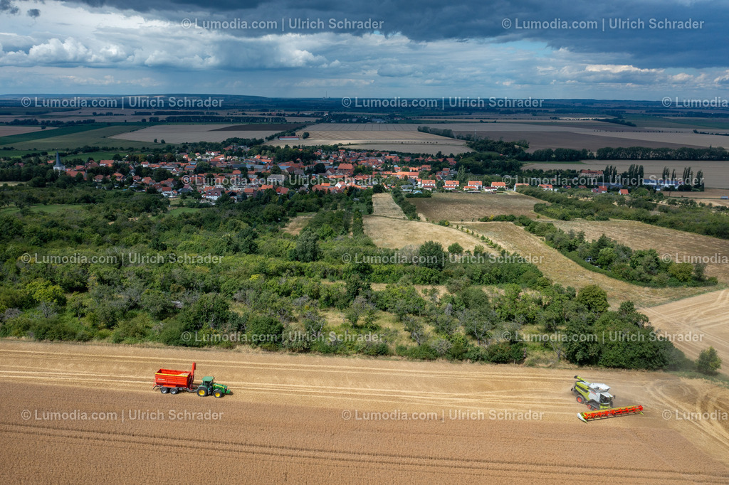 10049-52139 - Landschaft bei Eilenstedt | Stockfoto und Bilderpool mit Bildmaterial aus Deutschland, dem Harz, Halberstadt, Quedlinburg, Wernigerode und weltweit. Qualitativ hochwertige und professionelle Fotos anschauen und kaufen. - Realisiert mit Pictrs.com