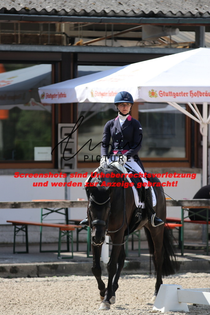 IMG_9488 | lmwpictures - Realisiert mit Pictrs.com