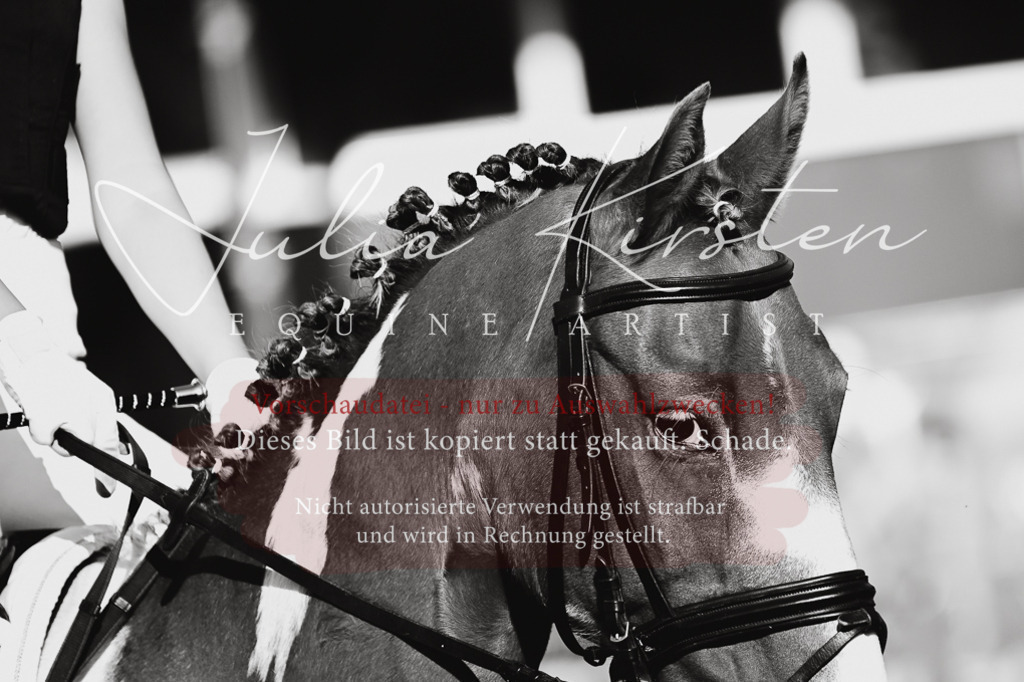 DSC_4884 | Pferde- und Turnierfotografie in Westsachsen. Pferdeportraits, Auftragszeichnungen und intuitive Kunst.
