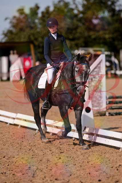 2026_10_03_Siefer-Hof_120028_Z81_02262367 | Professionelle Reitsport-, Turnier- und Eventfotografie von Robert Broda. Galerien mit ausgewählten und bearbeiteten Bildern direkt online ansehen und bestellen.