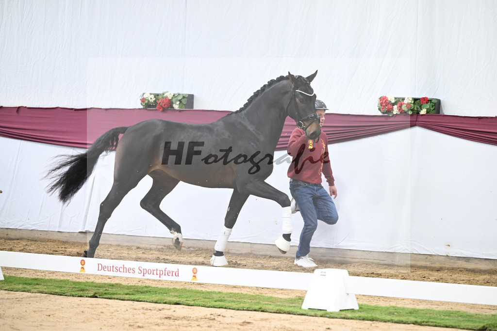 Kat-Nr. 66 Feliciano x Fidertanz_Franz Winklmaier_47252495 | hf-fotografie - Realisiert mit Pictrs.com