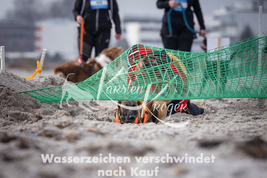 1130_ZZ99158 | kk-dogfotos