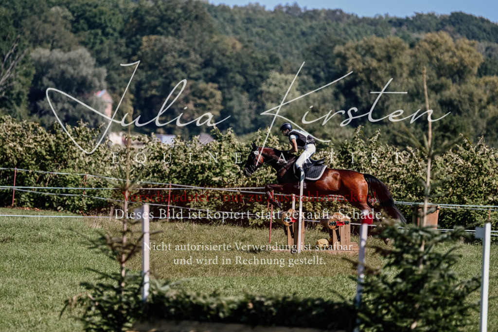 DSC_1728 | Pferde- und Turnierfotografie in Westsachsen. Pferdeportraits, Auftragszeichnungen und intuitive Kunst.