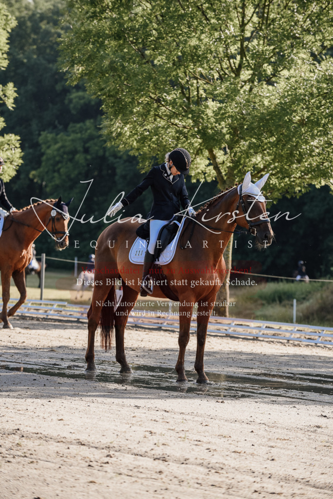 DSC_7684 | Pferde- und Turnierfotografie in Westsachsen. Pferdeportraits, Auftragszeichnungen und intuitive Kunst.