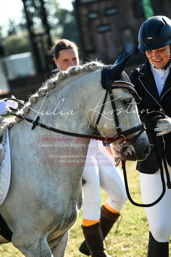 DSC_0549 | Pferde- und Turnierfotografie in Westsachsen. Pferdeportraits, Auftragszeichnungen und intuitive Kunst.