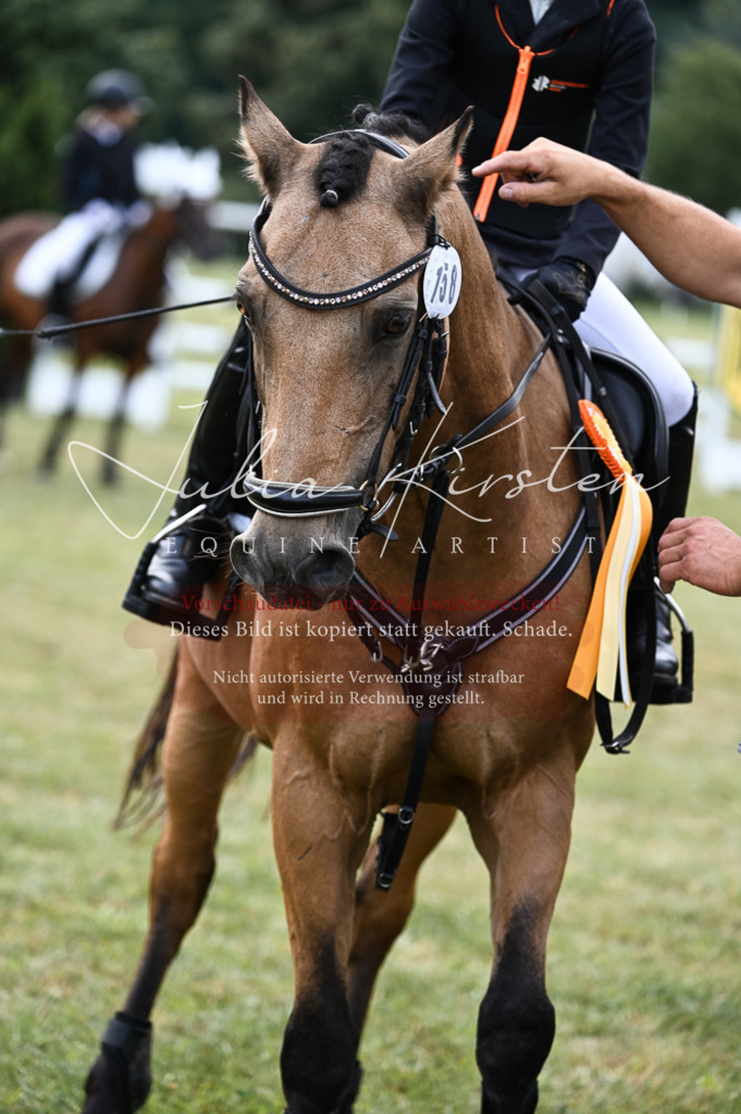 DSC_5766 | Pferde- und Turnierfotografie in Westsachsen. Pferdeportraits, Auftragszeichnungen und intuitive Kunst.