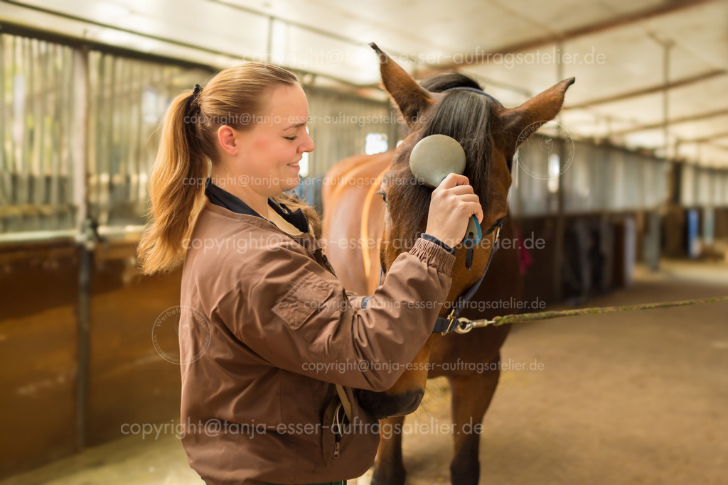 Young woman is brushing the mane of her horse | Im Stall steht eine junge Reiterin mit ihrem Rennpferd, einem Hannoveraner. Liebevoll bürstet sie die Mähne auf der Stirn des Pferdes. Das Pferd ist braun und die Jacke der jungen Frau auch.