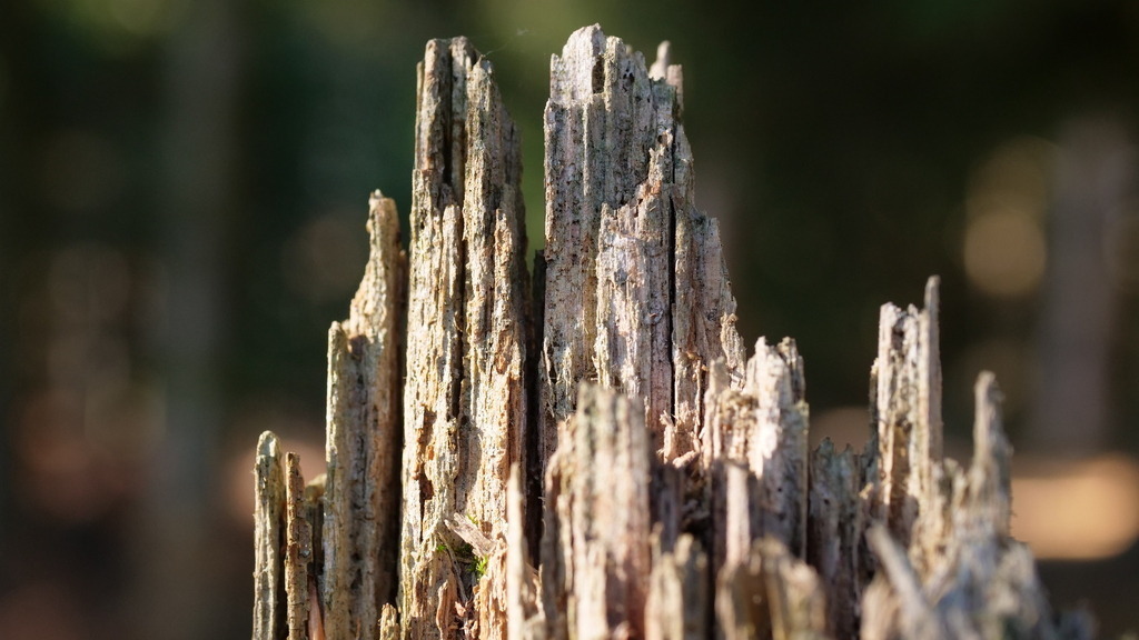 P1055177 | klausulrichmoeller