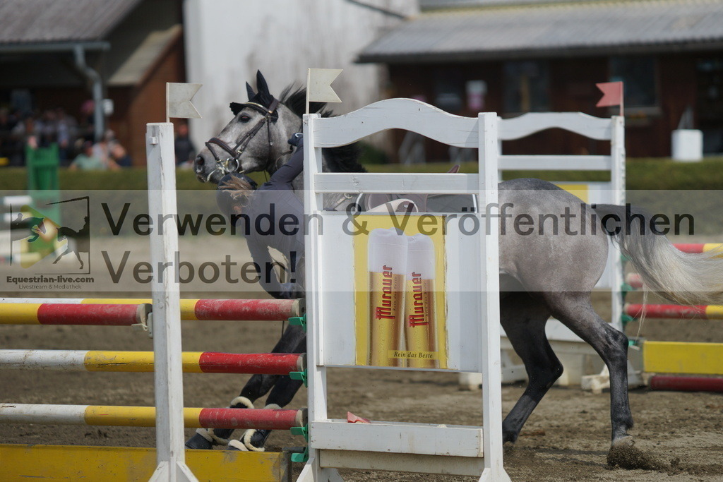 DSC04235 | equestrian-live-com