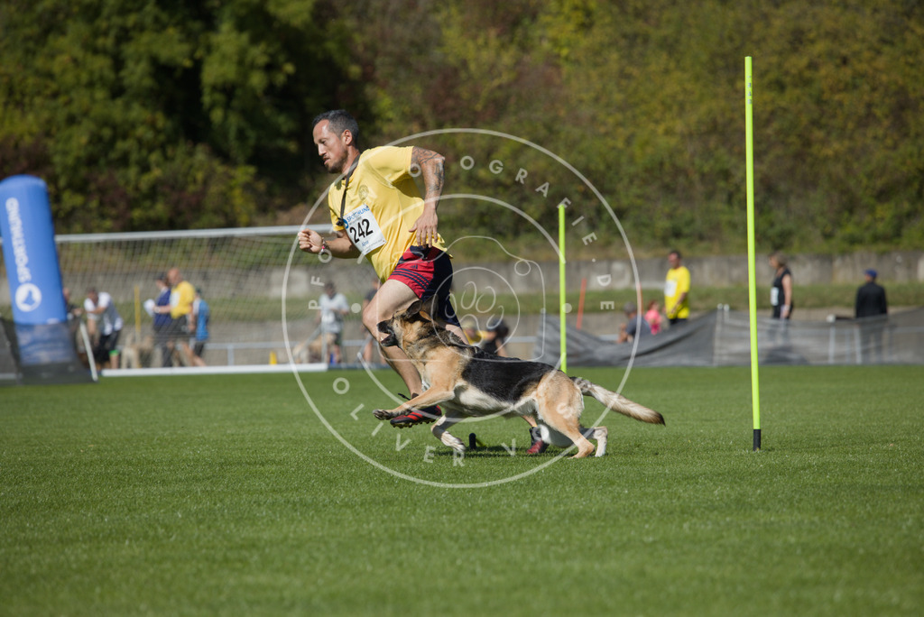 0L8A6169 | Hundefotografie, Tierfotograf, Pfotenfotografie, Fotoshooting Hund, Hunde Portrait, Hundesport, Hundeportraits, Heideshooting, Hunde, Sportfotograf, Hundefotograf, Turnierhundsport, THS,  - Realisiert mit Pictrs.com