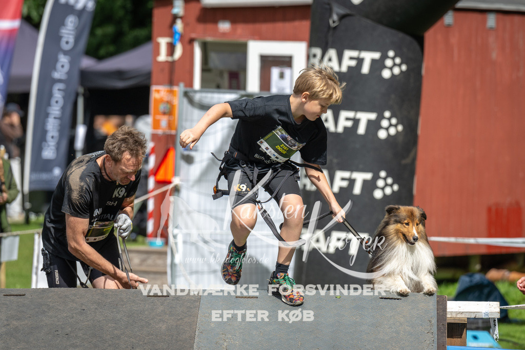 1433_ZZ91293 | kk-dogfotos