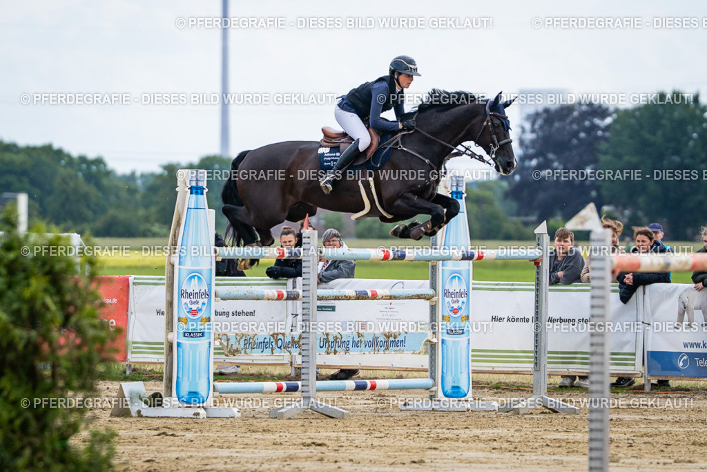 DSC06815 | Pferdegrafie