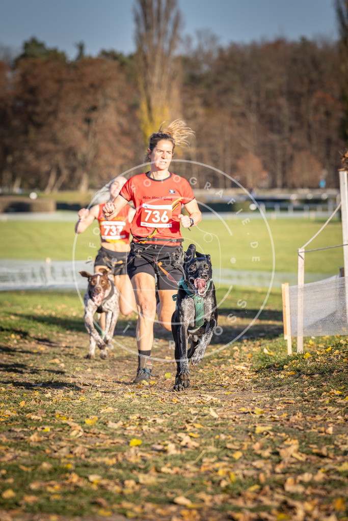 CaniXpix_DV3A2146 | Hundefotografie, Tierfotograf, Pfotenfotografie, Fotoshooting Hund, Hunde Portrait, Hundesport, Hundeportraits, Heideshooting, Hunde, Sportfotograf, Hundefotograf, Turnierhundsport, THS,  - Realisiert mit Pictrs.com