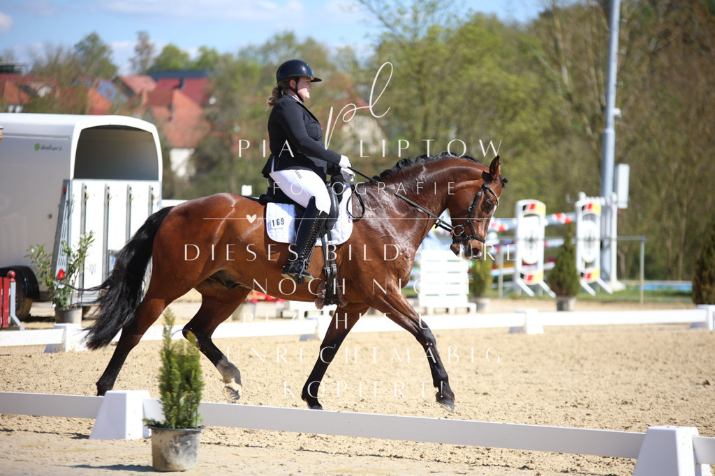 IMGT7781 | pl-fotografie