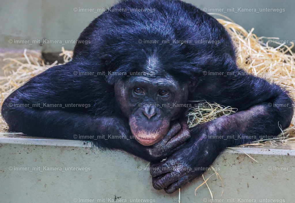 PSX_4448 | immer_mit_kamera_unterwegs