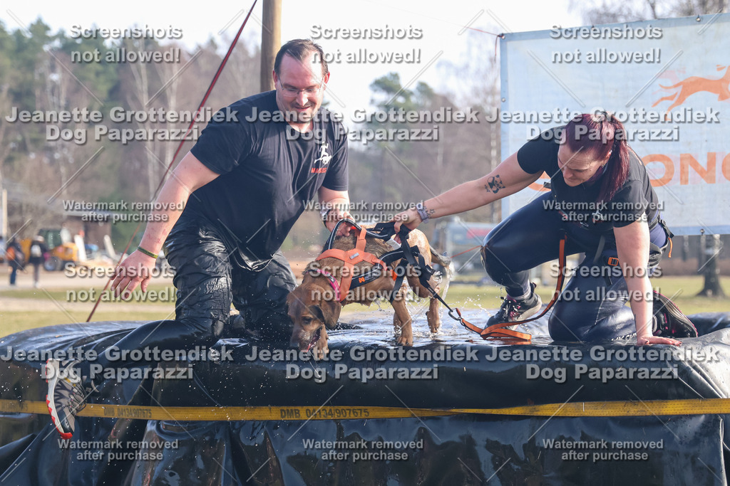 Dog Paparazzi - Strongdog North Mrz26-507 | Dog Paparazzi Jeanette Grottendiek Fotografie & Videografie - Realisiert mit Pictrs.com