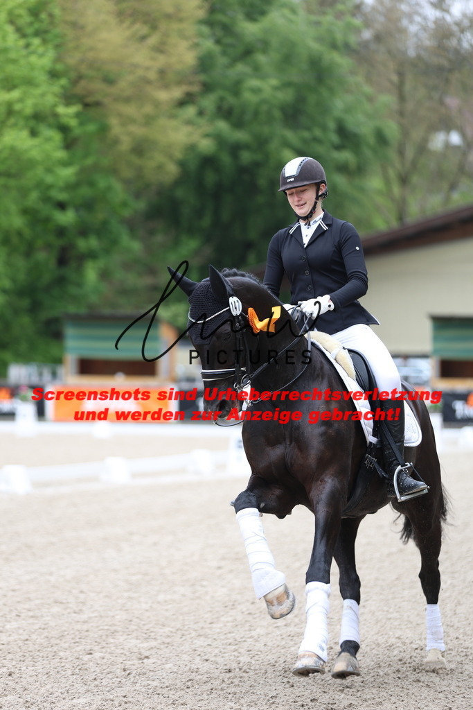 A40A0840 | lmwpictures - Realisiert mit Pictrs.com