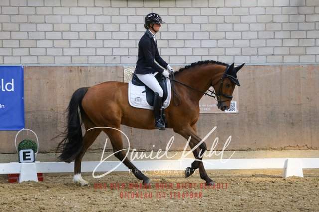 IMG_2607 | Turnierfotos kaufen im Webshop von Daniel Kuhl Photography – entdecke professionelle Reitsportfotos aus Turnieren & Events. Hochwertige Turnierbilder online bestellen & sichern. Jetzt Fotos von Reitsportturnieren kaufen!