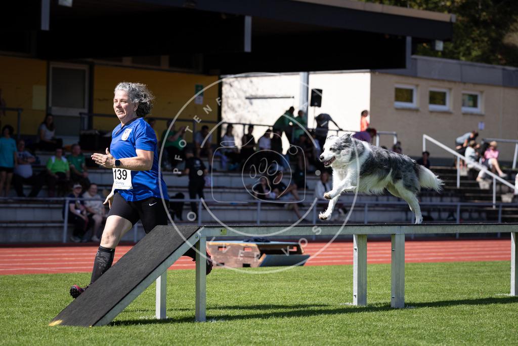 Pfotenfotografie_DV3A9049 | Hundefotografie, Tierfotograf, Pfotenfotografie, Fotoshooting Hund, Hunde Portrait, Hundesport, Hundeportraits, Heideshooting, Hunde, Sportfotograf, Hundefotograf, Turnierhundsport, THS,  - Realisiert mit Pictrs.com