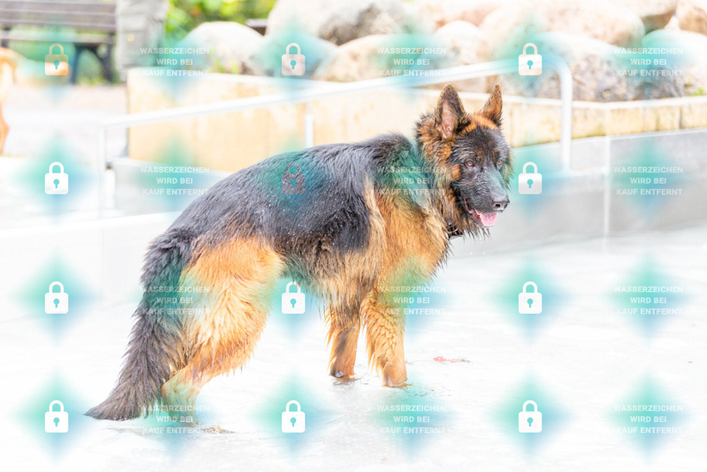 _HP_7380_1000o | HetPix, HetPix Fotodesign, Fotografie, Fotodesign, Webshop, Sportfotografie, Portraitfotografie, Onlineshop, Sportfotografie, Polch, Motorsportfotografie, Eventfotografie