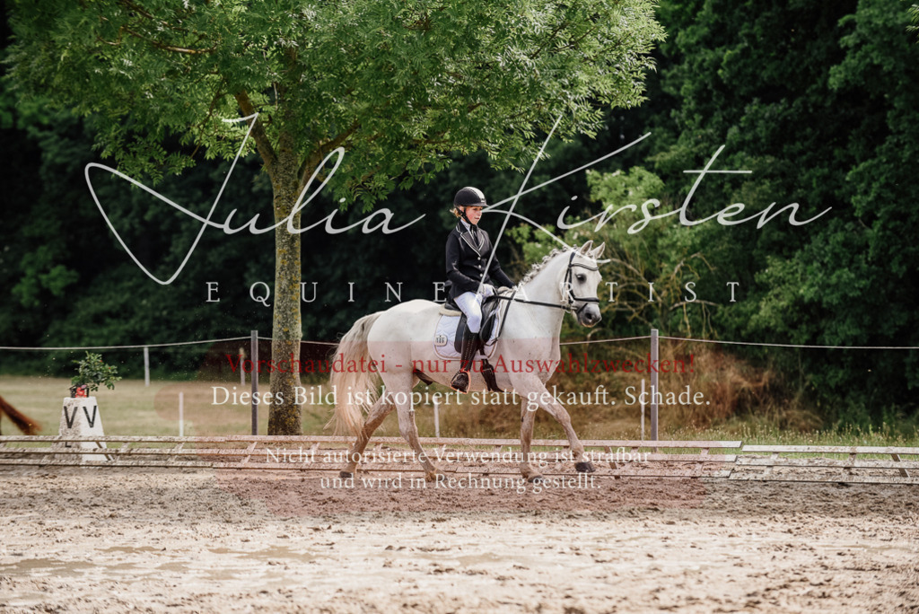 DSC_9470 | Pferde- und Turnierfotografie in Westsachsen. Pferdeportraits, Auftragszeichnungen und intuitive Kunst.
