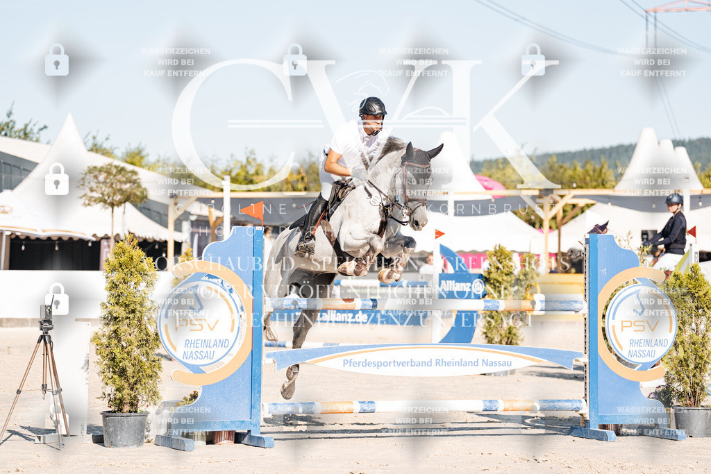 CK904413 | Turnierfotografie Pferdefotografie Trier Rheinland-Pfalz Pferdesport Reitsport Tierfotografie Sportfotografie Pferdevideo Pferdevideografie Equestrianvideography equestrianphotography  - Realisiert mit Pictrs.com
