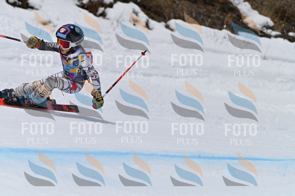 BGV_5106 | holidayphoto