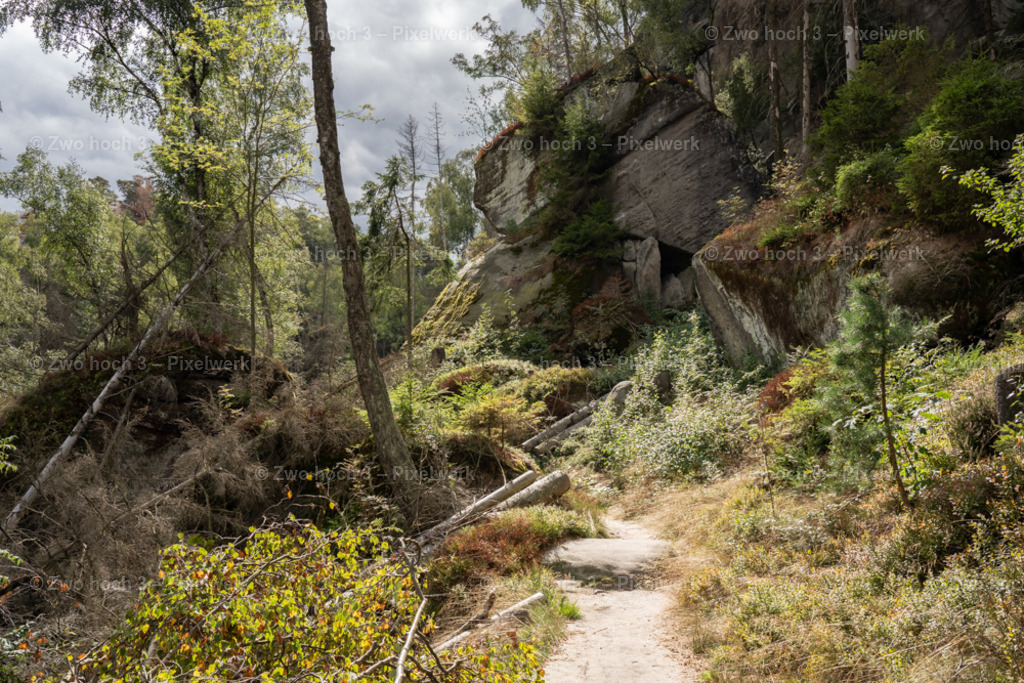 Frienstein_Baumstamm_Strauch_Felsen_Flechte_Waldweg | 2022-09-02_Waldbrandgebiete_2 - Realisiert mit Pictrs.com