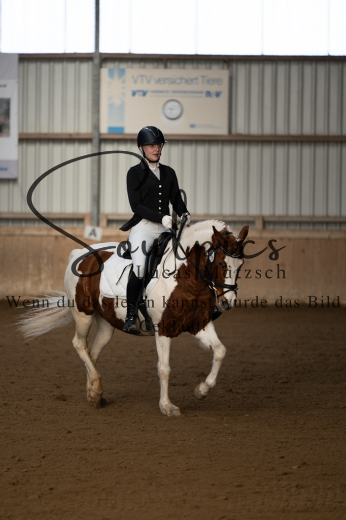 A7V05315 | Pferdefotograf