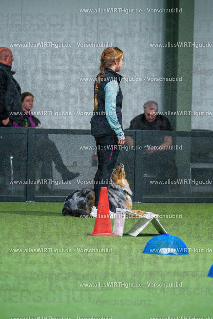 7R503085 | Professionelle Tierfotografie in Mönchengladbach von Daniel Wirth (allesWIRTHgut). Liebevolle & natürliche Bilder von Hunden & Katzen für unvergessliche Erinnerungen.