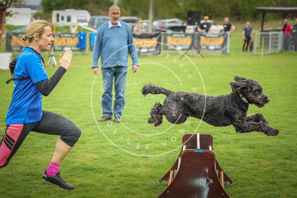 Pfotenfotografie_0L8A9601 | Hundefotografie, Tierfotograf, Pfotenfotografie, Fotoshooting Hund, Hunde Portrait, Hundesport, Hundeportraits, Heideshooting, Hunde, Sportfotograf, Hundefotograf, Turnierhundsport, THS,  - Realisiert mit Pictrs.com