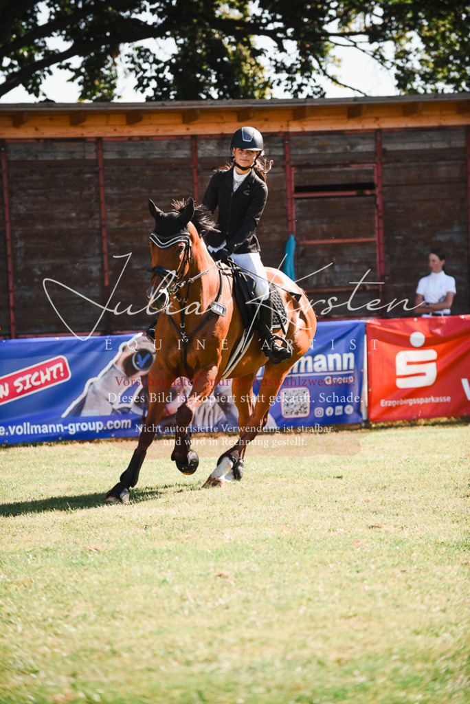 DSC_2427 | Pferde- und Turnierfotografie in Westsachsen. Pferdeportraits, Auftragszeichnungen und intuitive Kunst.