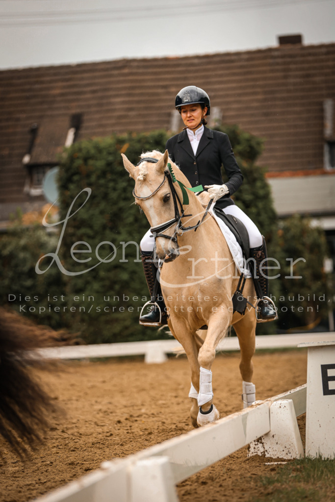 DoDrA00671 | Leoni Ertmer Photography - Realisiert mit Pictrs.com