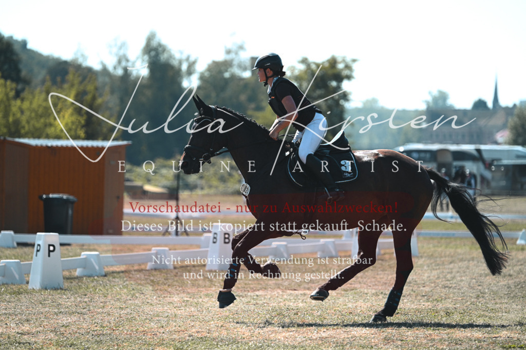 DSC_8223 | Pferde- und Turnierfotografie in Westsachsen. Pferdeportraits, Auftragszeichnungen und intuitive Kunst.