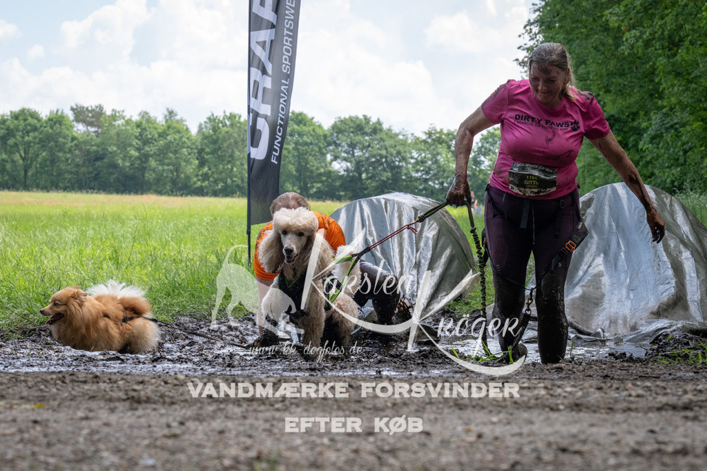 1143_ZZ94236 | kk-dogfotos