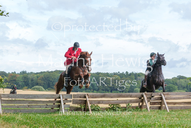 Jagd Knoop 26_MarinaHewigMCH02625 | Fotografie, FotoArt, PferdesportArt, Pferdesportfotografie, Landschaftsfotografie, Reisefotografie, Reise, Pferde - Realisiert mit Pictrs.com