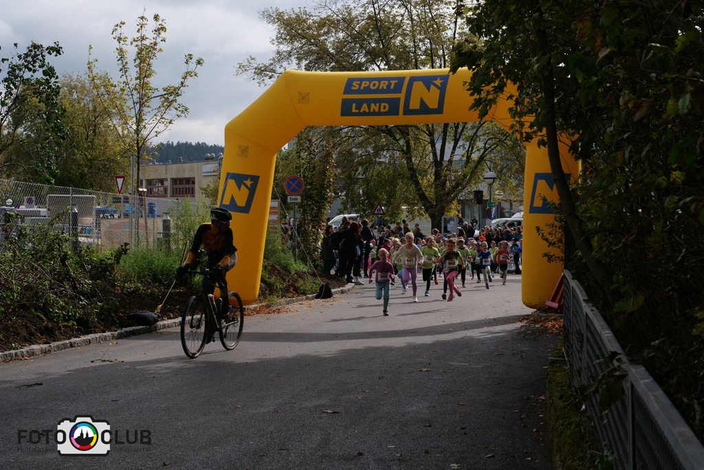 P1017409 | Foto Buchgraber