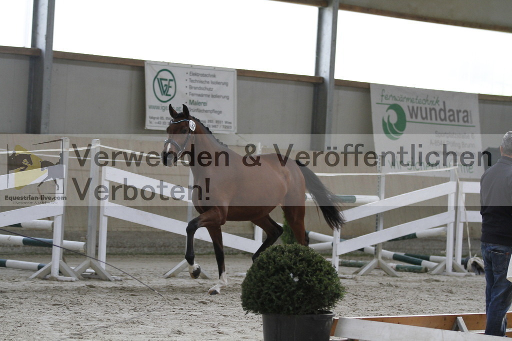 _MG_9560 | equestrian-live-com