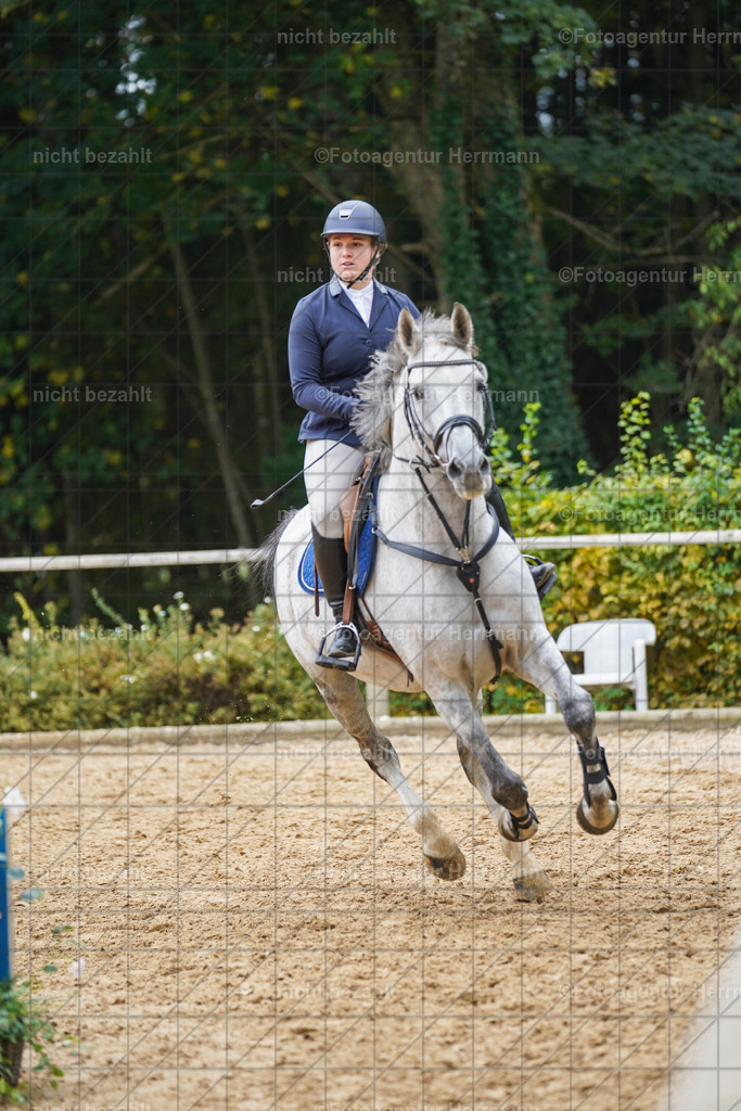 20221009-FAH08822 | Diessen am Ammersee, 2022, Dressur- und Springturnier, Reitsportbilder, Turnierfotografen Bayern, Pferdefotografen, Fotoagentur Herrmann, Turnierbilder