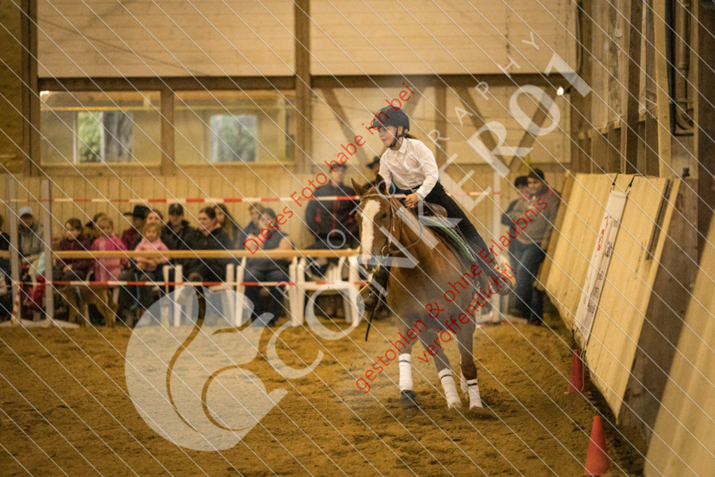 CON_7595 | Sport-, Event- und Tierfotos in Profiqualität. Einfach auswählen, bestellen und herunterladen. Dein Moment – perfekt festgehalten.